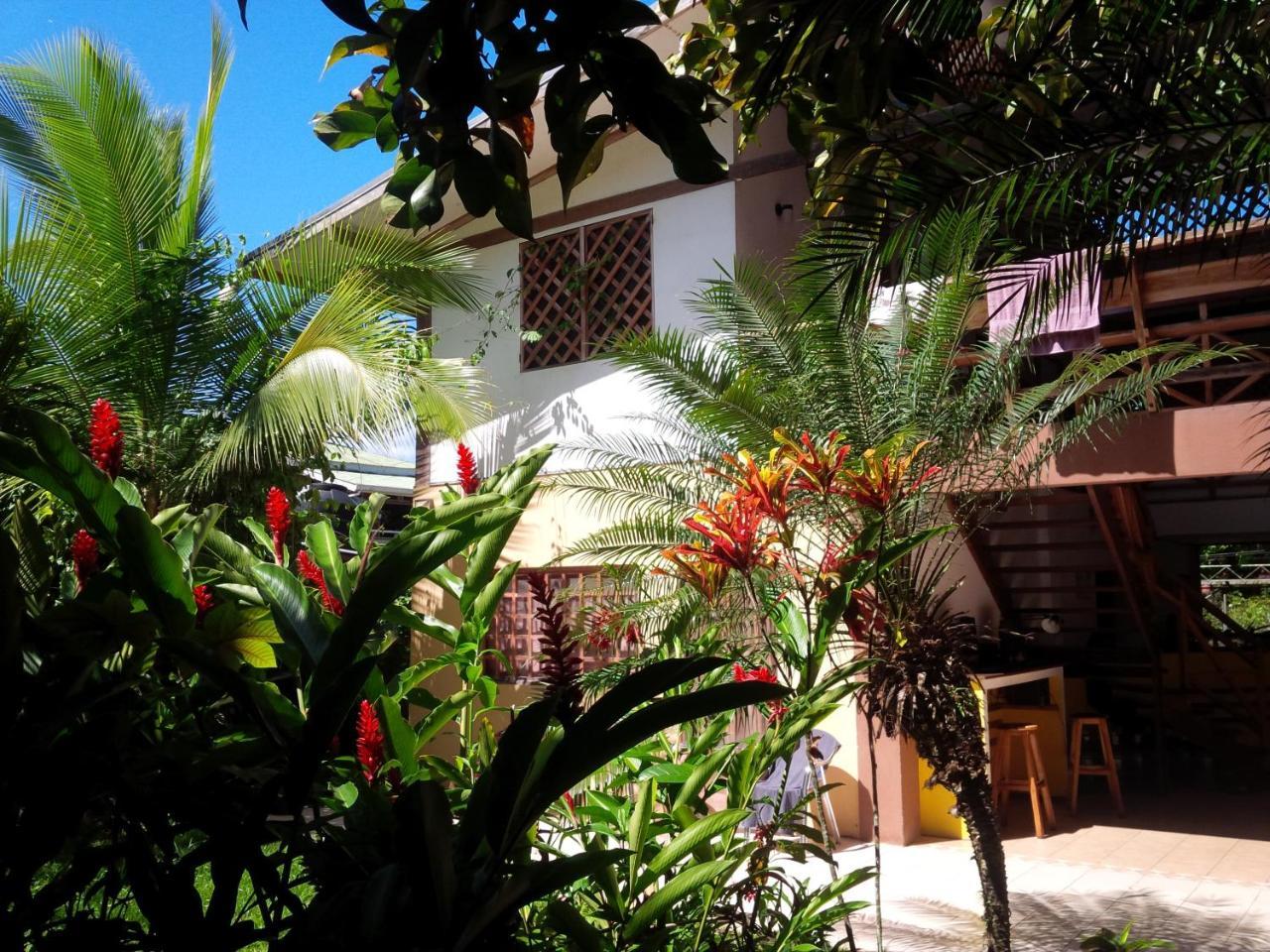 Pagalu Hostel Puerto Viejo de Talamanca Kültér fotó
